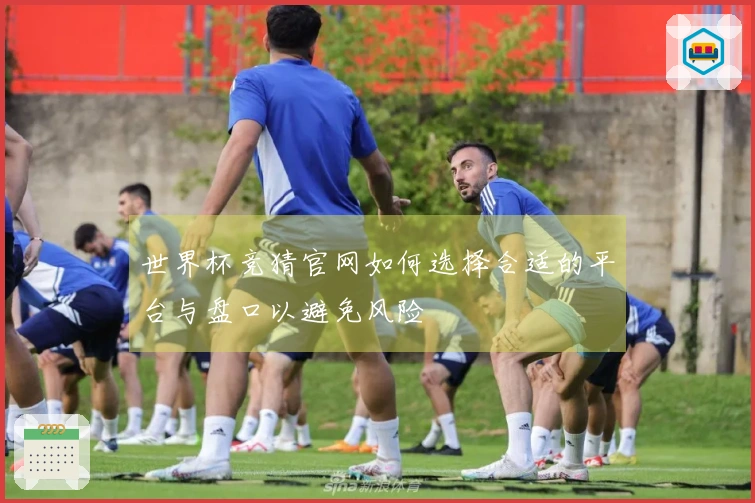 世界杯竞猜官网如何选择合适的平台与盘口以避免风险